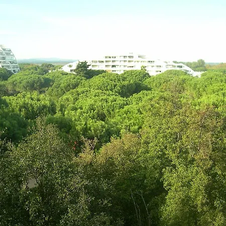 Appartement Le Paradis Du Soleil *