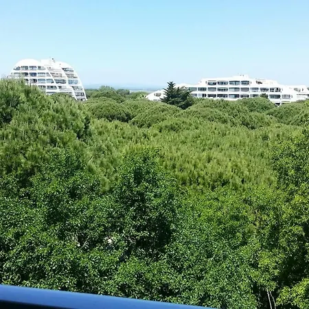 Le Paradis Du Soleil *